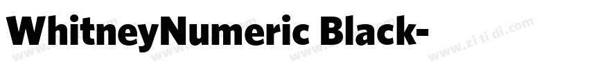 WhitneyNumeric Black字体转换 WhitneyNumeric Black字体转换